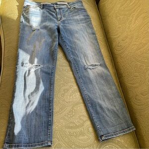 Anthropologie Pilcro and the Letterpress FOLIO Boyfriend Jeans Size 30